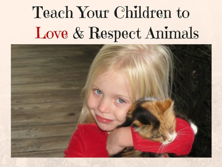 Toddlers And Pets: How to Teach Respect and Compassion