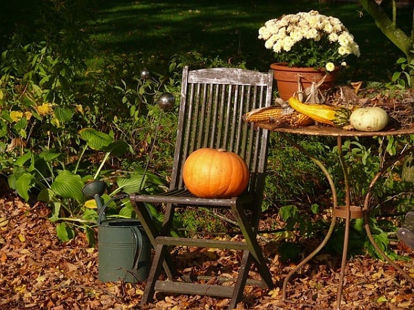 How To Prepare Your Garden For Fall