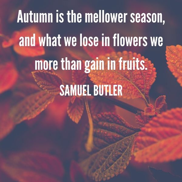 Autumn Quote 