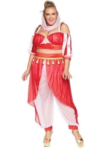 Women's Plus Size Dreamy Genie Costume