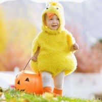 Cute Halloween Costumes for Toddlers